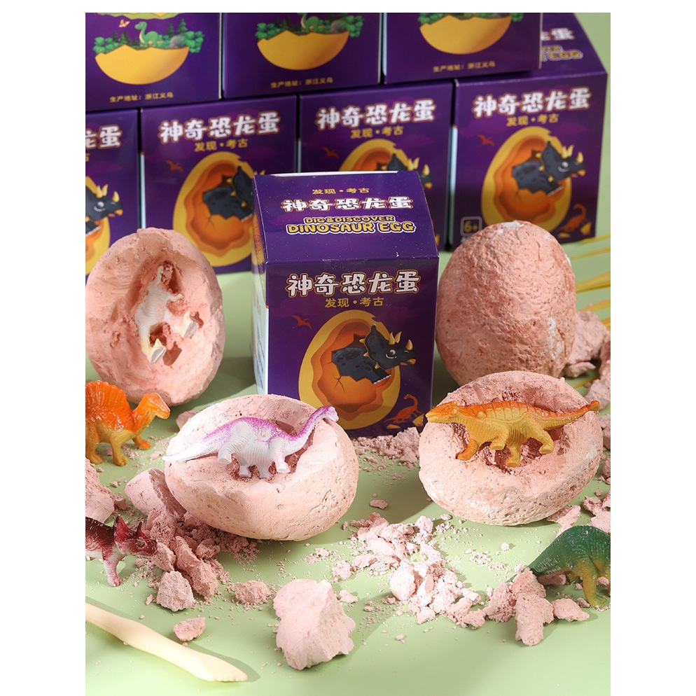 ไข่ฟอสซิล ขุดไข่ไดโนเสาร์ พร้อมอุปกรณ์