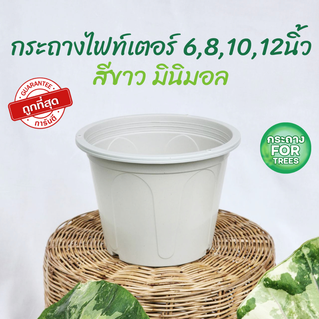 กระถางสีขาว 6, 8 , 10 ,12 นิ้ว ราคาโรงงาน