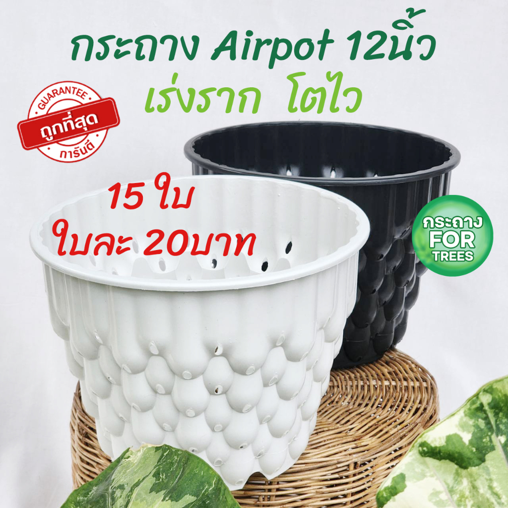 กระถาง air pot กระถางเร่งราก 12 นิ้ว 15 ใบ ต้นไม้โตไว สีดำ สีขาว