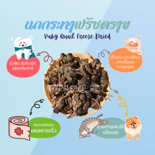 นกกระทาฟรีซดราย (Baby Quail Freeze-Dried) บำรุงผิวหนังและเส้นขน สำหรับหมา และแมว ขนมสัตว์เลี้ยง อาหารสัตว์เลี้ยง