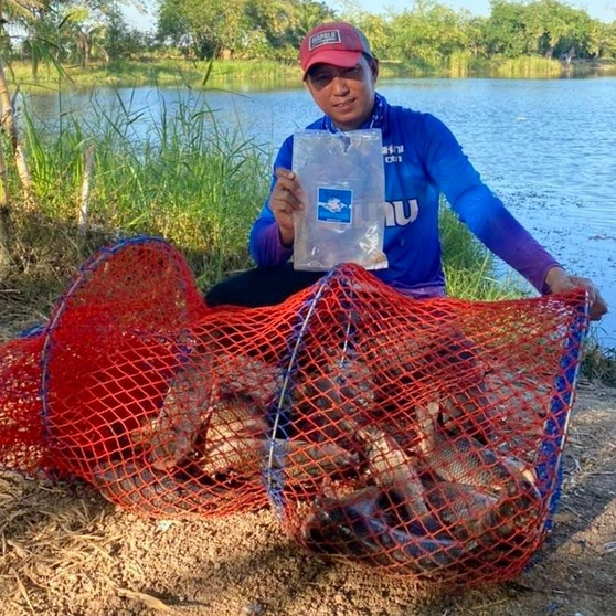 เหยื่อตกปลา เหยื่อหมาน | สูตรปลารวม 1 กก. | ผสมเสร็จ ตกได้ทันที | ปั้นง่าย ปลาเข้าไว | รีวิว 10k+ - รูปที่ 3