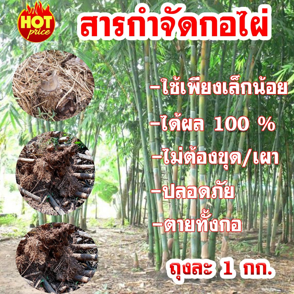 สารกำจัดก่อไผ่ สารฆ่ากอไผ่ ยาฆ่ากอไผ่ บรรจุ สามารถฆ่าต้นไผ่ตายยันรากแค่หว่านหรือโรย 1000g