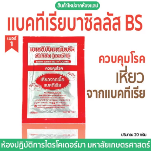 【 พร้อมส่ง 】 เเบคทีเรียบาซิลลัส BS(เบอร์1)ควบคุมโรคเหี่ยวจากแบคทีเรีย ม.เกษตร