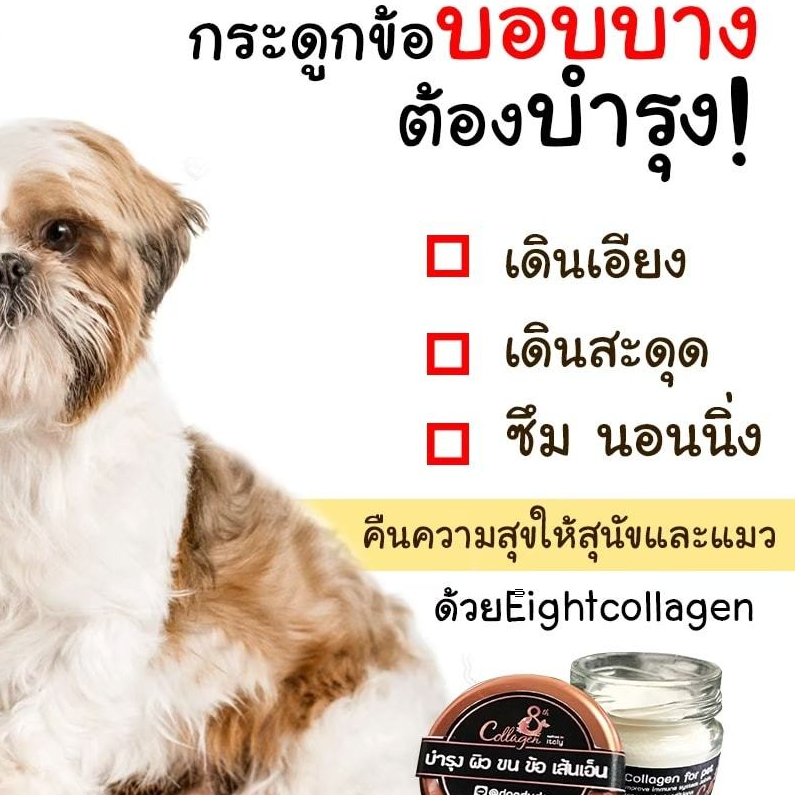 8 collagen Cat Dog Peptide Collagen คอลลาเจน สุนัขและแมว ด้วย