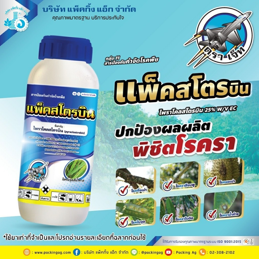 แพ็คสโตรบิน ขนาด 500 ซีซี ไพราโคลสโตรบิน 25%EC ป้องกันกําจัดโรคพืช เช่น โรคแอนแทรคโนส โรคใบจุดสีม่วง, โรคต้นไหม้