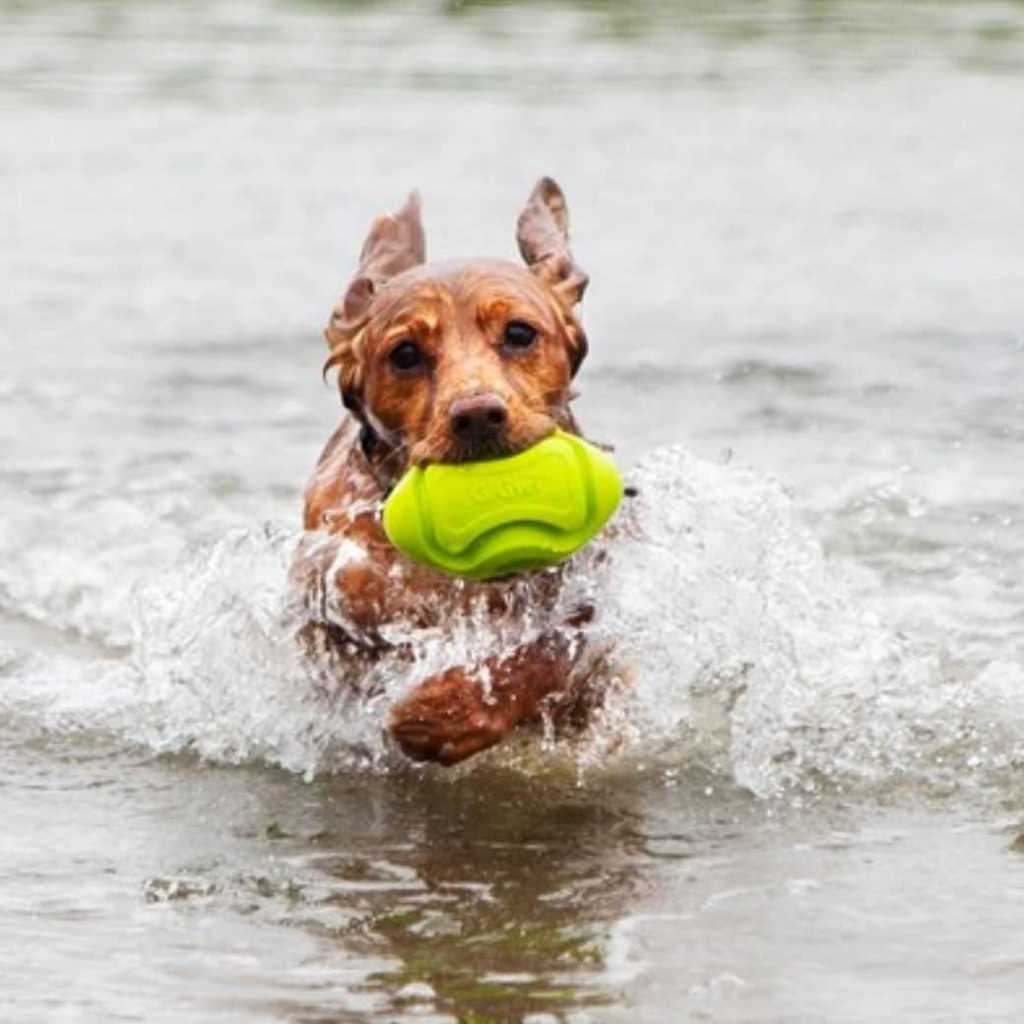ของเล่นลูกรักบี้สำหรับสุนัข ของ GiGwi รุ่น Foamer Rubber Rugby Dog Ball Soft Floating สินค้านำเข้าโดยร้าน Goodie Dogs