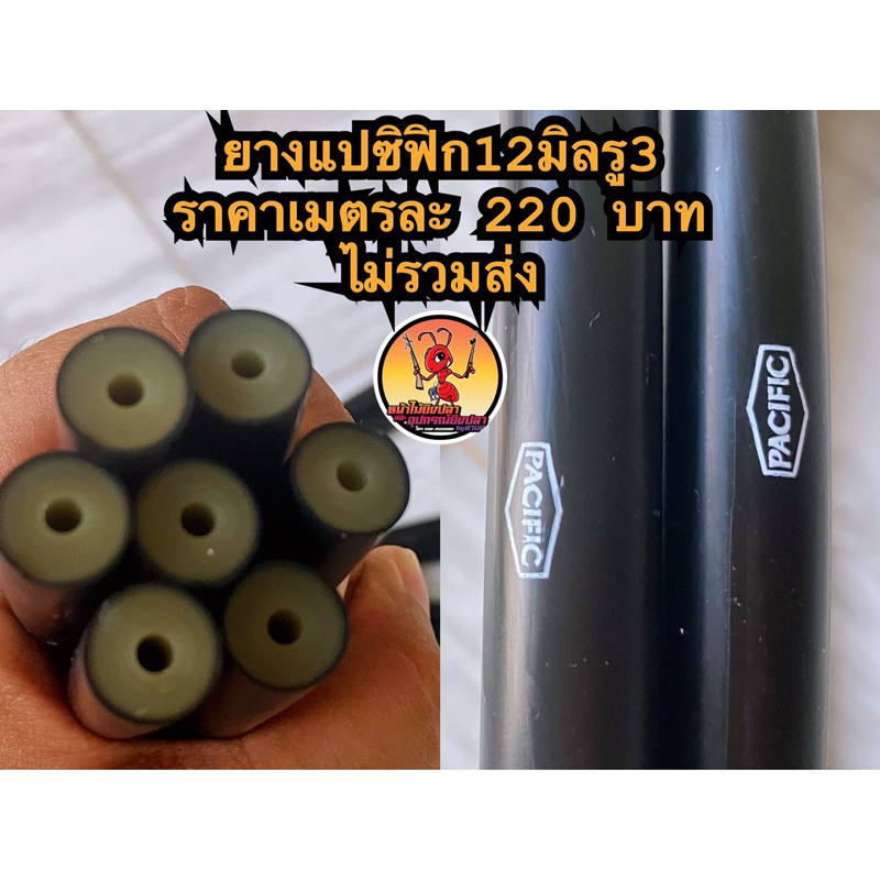 ยางแปซิฟิกขนาด12รู3,14รู3,14รู5และ16รู3มิล ยาว1เมตร - รูปที่ 2