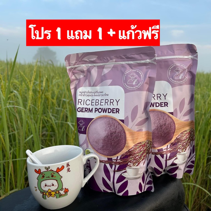 จมูกข้าวไรซ์เบอร์รี่ โปร 1แถม1 +แก้วฟรี จมูกข้าวกล้องไรซ์เบอร์รี่บดผง ตราลุงประโยชน์ชาวนาไทย