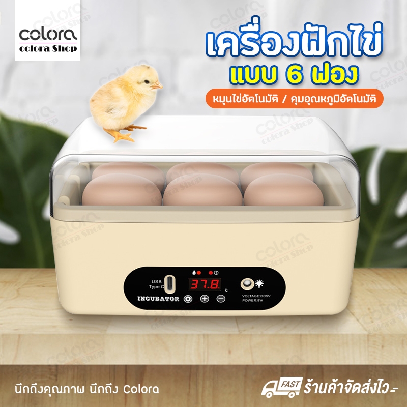 เครื่องฟักไข่ แบบ 6 ฟอง ตู้ฟักไข่เป็ด ไข่ไก่ ไข่นก ฟักไข่ได้หลายชนิด หมุนไข่เองอัตโนมัติ คุมอุณหภูมิอัตโนมัติ
