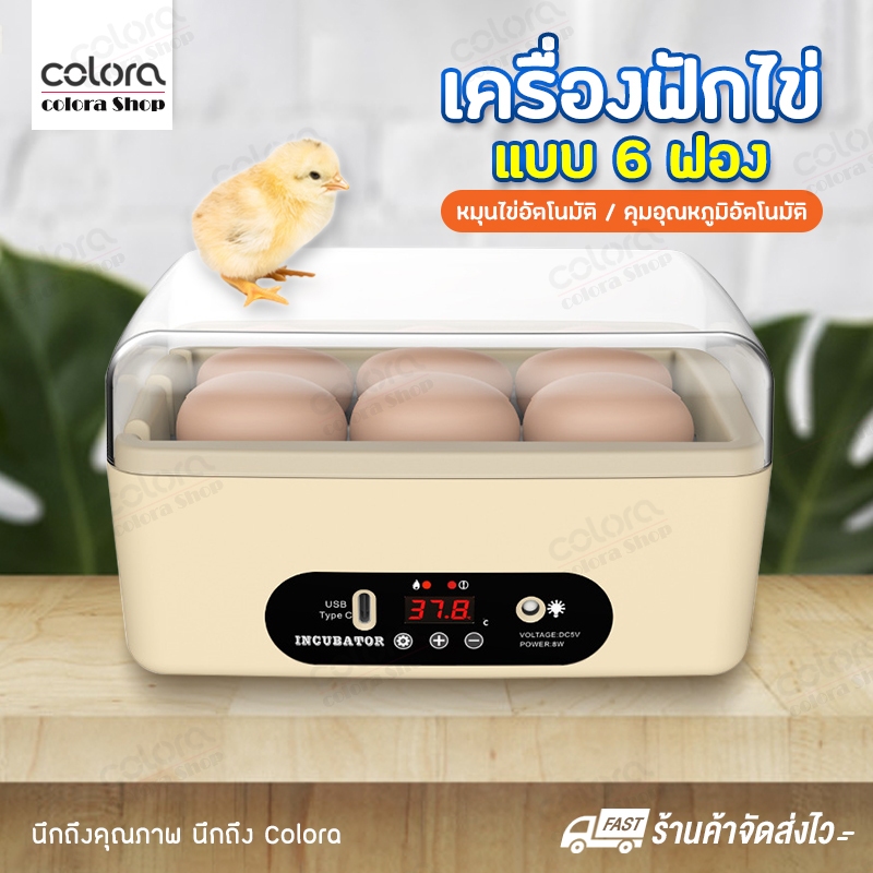 เครื่องฟักไข่ แบบ 6 ฟอง ตู้ฟักไข่เป็ด ไก่ นก ฟักด้หลายชนิด หมุนเองอัตโนมัติ คุมอุณหภูมิอัตโนมัติ