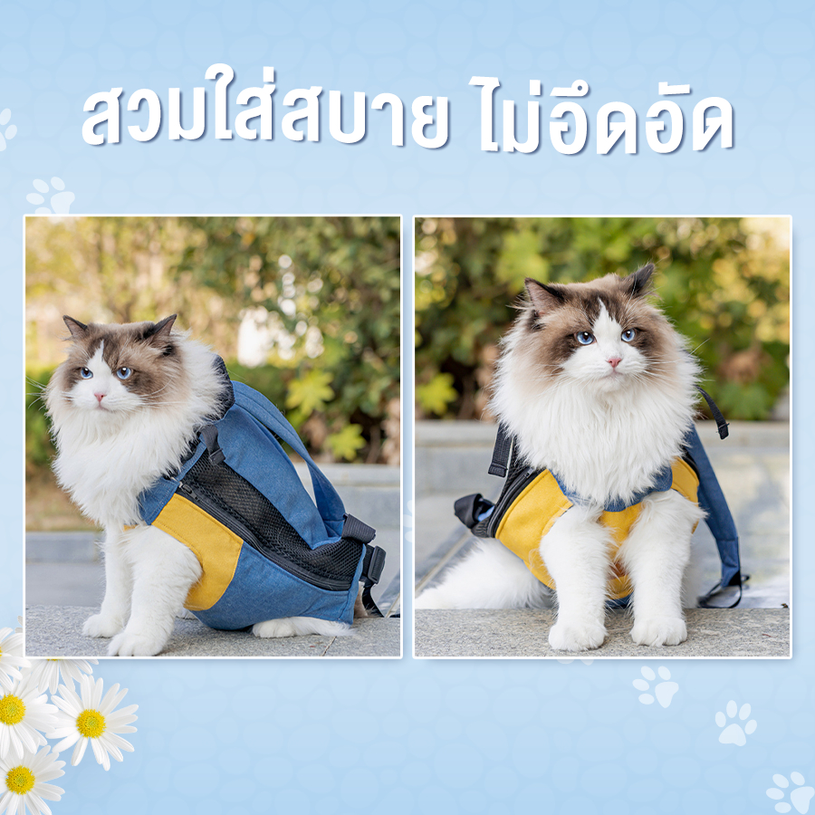 กระเป๋าสัตว์เลี้ยง กระเป๋าสุนัข แมว M L เป้สะพาย เป้ใส่หมา สะพายหลัง Mini Pet Carrier Backpack Dave