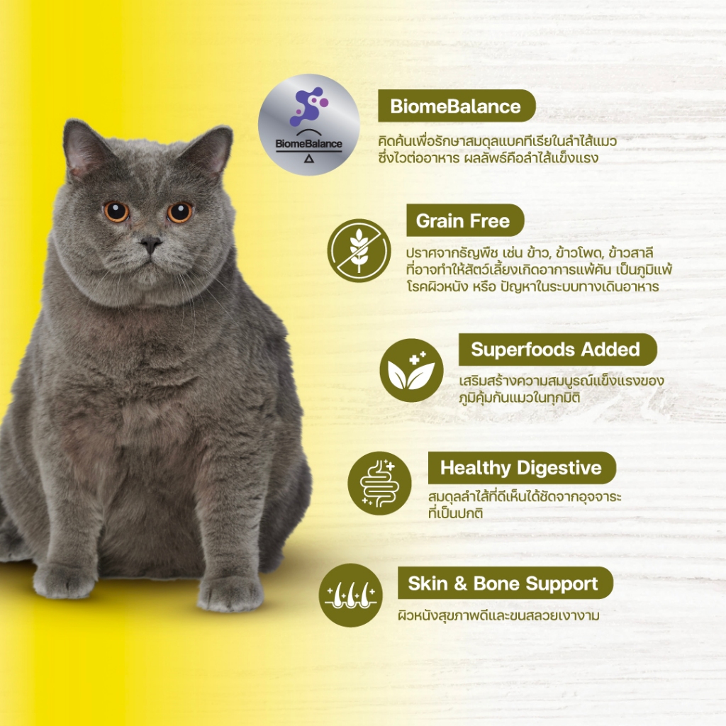 Lifemate Grain Free อาหารแมวโต สูตรไก่และปลา ขนาด 2.8 กิโลกรัม (C23) - รูปที่ 2