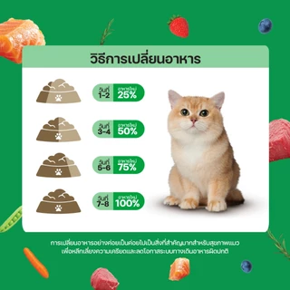 Lifemate Grain Free อาหารแมวโต สูตรแมวเลี้ยงในบ้าน ขนาด 360 กรัม (C41)
