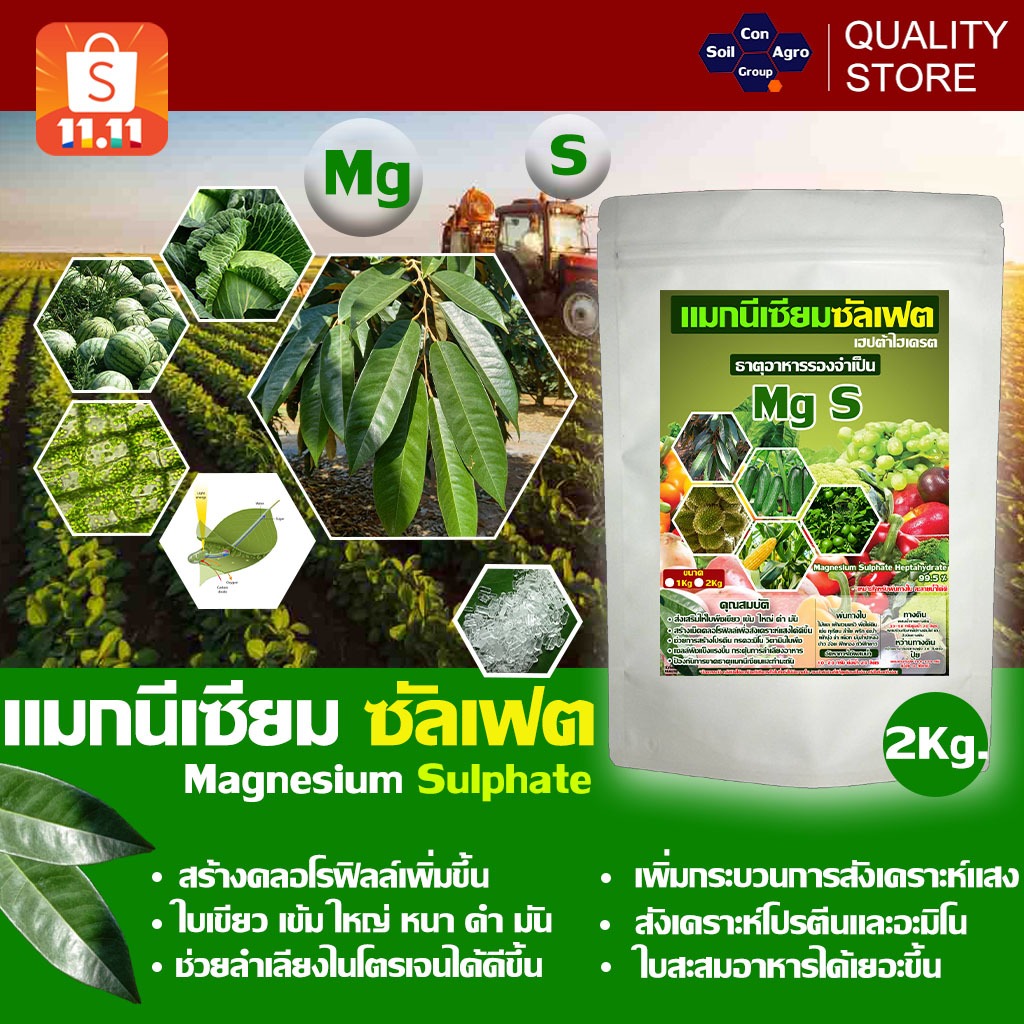 แมกนีเซียมซัลเฟต ใบเขียว เข้ม ใหญ่ ดำ สร้างคลอโรฟิลล์ สังเคราะห์อาหารได้มากขึ้น /Magnesium ขนาด 2 กิโลกรัม