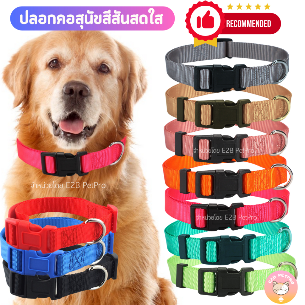 ใหม่ ปลอกคอสุนัข สีสด10สี แข็งแรงทนทาน [12สี 3ขนาด] C041