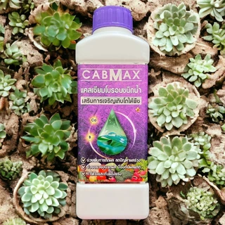 แคลเซียมโบรอน CABMAX ธาตุอาหารพืช สูตรเข้มข้น ผลดกเซลล์พืชแข็งแรง (โปรสุดคุ้ม 2 ลิตร) C2