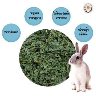 หญ้ากระต่าย หญ้าอัลฟาฟ่าอบลมร้อน Super Premium Alfalfa Grass ขนาด 1Kg.(กล่องน้ำตาล) ใบล้วน