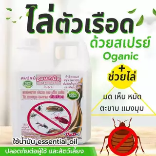 สเปรย์ไล่ ตัวเรือด (ขนาด ลิตร) (RR-1) สมุนไพรป้องกันตัวเรือด ตัวริ้น ตัวไร ไรฝุ่น ตัวเหา เห็บหมัดบนที่นอน โซฟา