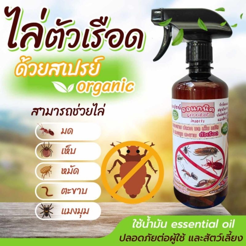 สเปรย์ไล่ ตัวเรือด สมุนไพรป้องกันตัวเรือด (RR-500) ตัวริ้น ตัวไร ไรฝุ่น ตัวเหา เห็บหมัดบนที่นอน โซฟา 500mlชนิดออแกนิค