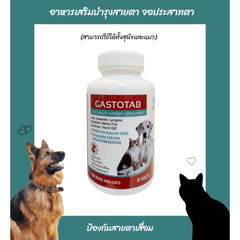 GASTOTAB อาหารเสริมบำรุงสายตาสุนัขและแมว บำรุงจอประสาทตา ป้องกันสายตาเสื่อม (30 เม็ด)