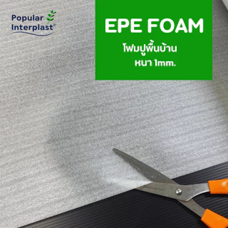 EPE FOAM โฟมรองพื้น ขนาด : กว้าง 65ซม. x ยาว 10-30ม. [หนา 1มม.] ผลิตและจำหน่ายเอง