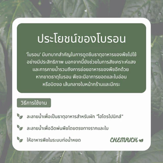 500G/1KG โบรอน 20.5% จุลธาตุโบรอน ละลายน้ำง่าย ไม่มีตะกอน พ่นทางใบหรือไฮโดรโปนิกส์/ Boron 20.5% micronutrient - Chemrich