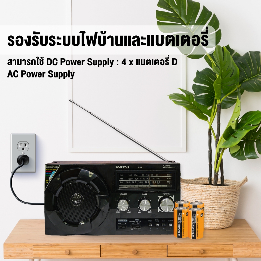 รูปภาพ 4