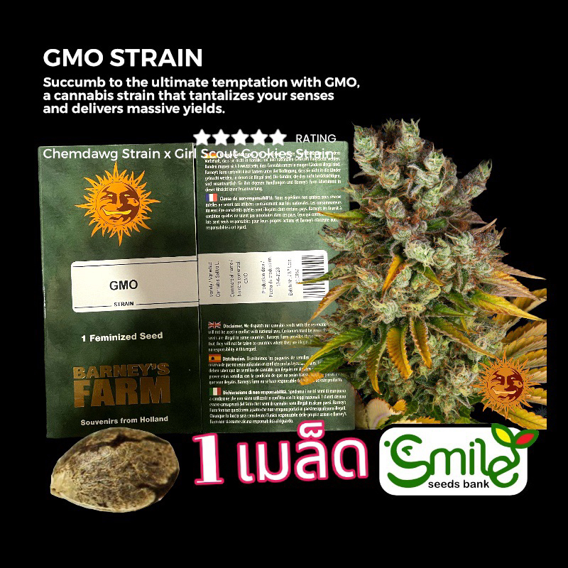 เมล็ดกัญชา GMO (Fem) - Barney’s Farm