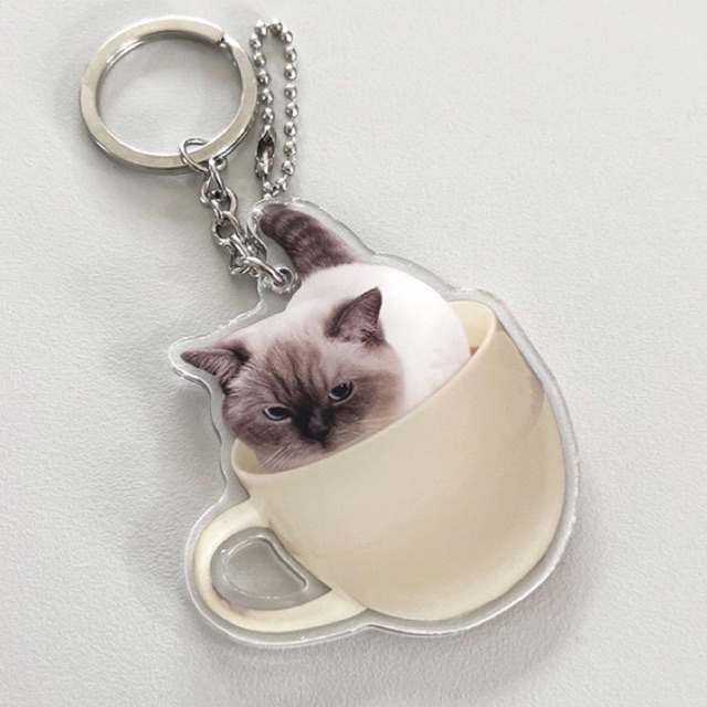 Brownsugar ddang x Lamode : SET4ชิ้น T-shirt Bag Keyring sticker เสื้อยืด กระเป๋า พวงกุญแจ ลายแมว ขอ