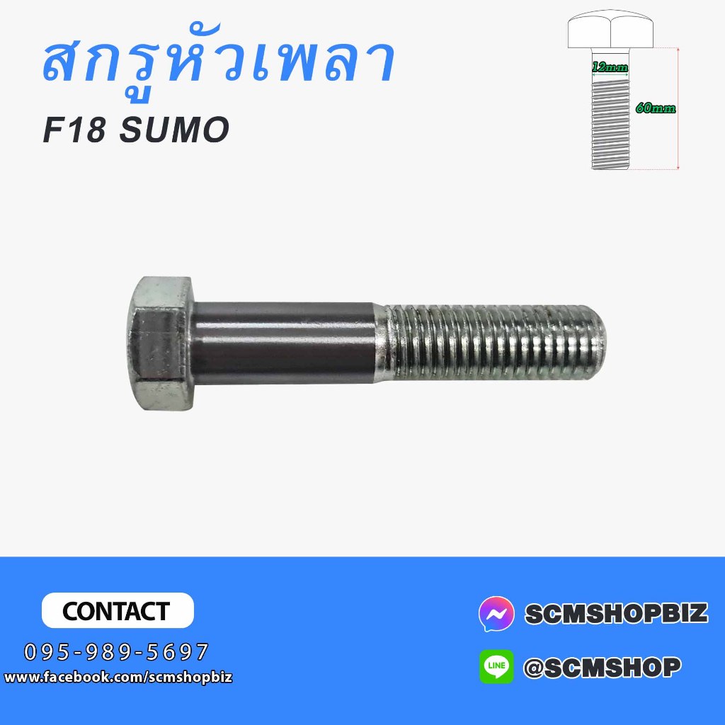 สกรูหัวเพลา,น็อตหัวเพลา,สกรูเพลาข้าง HINO F18-SUMO