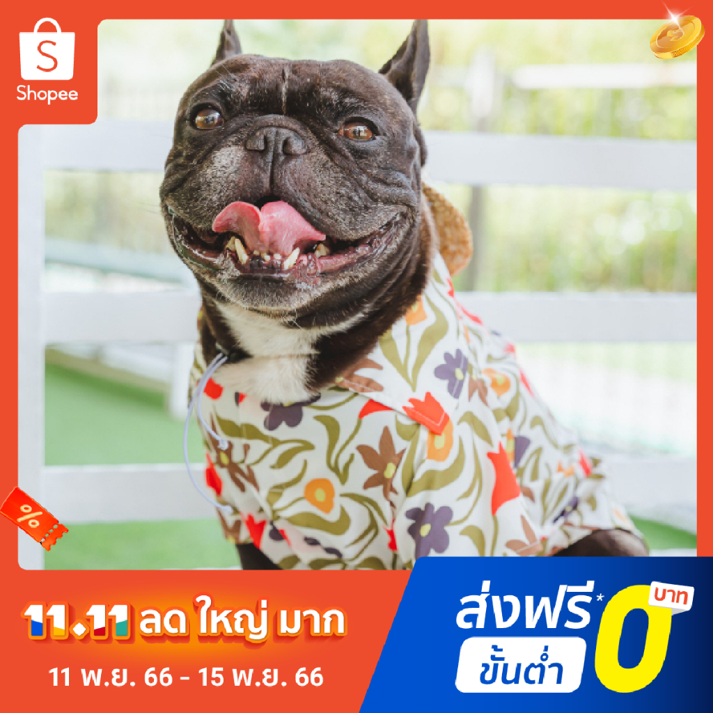 เสื้อหมาแมว เสื้อคู่คน X สัตว์เลี้ยง คอลเลคชั่น Happy Paradise Hawaii ฮาวายสัตว์เลี้ยง | Clawset.bkk