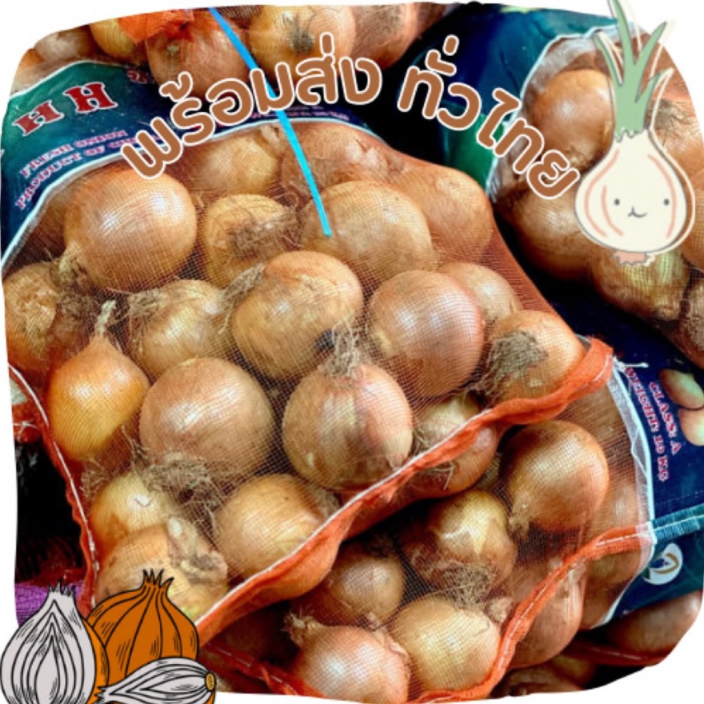 รูปภาพ 3