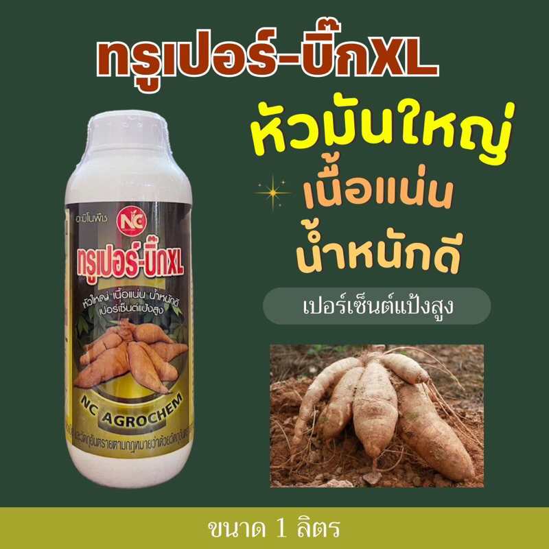 ทรูเปอร์-บิ๊กXL  ฮอร์โมนขยายหัว #ลงหัวมัน สำหรับพืชลงหัวทุกชนิด -1 ลิตร