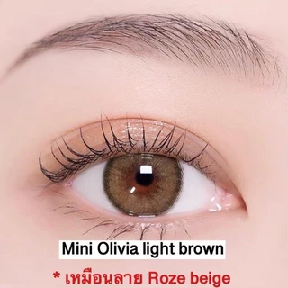 คอนแทคเลนส์ Mini Olivia Brown / Light Brown / Gray (Kitty Kawaii) ขนาดมินิ 🌷 ลายฮิต ขายดีมาก [ค่าสายตา-400 ถึง -1000]
