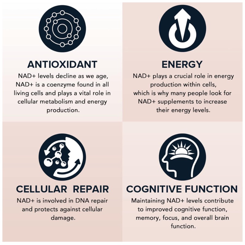 LIPOSOMAL NAD1600 MG‼ดูดซึมได้ดีขึ้น 20 เท่า‼ชะลอวัย รูปที่ 6