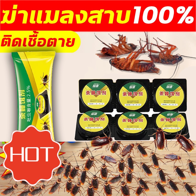 YUKANG အဆိပ်ဖျော်ရည်/ဂျယ် (Insecticidal bait) မျက်နှာပြင်ပေါ် ကပ်ကာ မျက်နှာပြင်မရှိ မိမိကိုယ်ကို ခုတ်ပေးတဲ့ ပိုးဟပ်သတ်ဆေး (3 ခု/ဘူး)