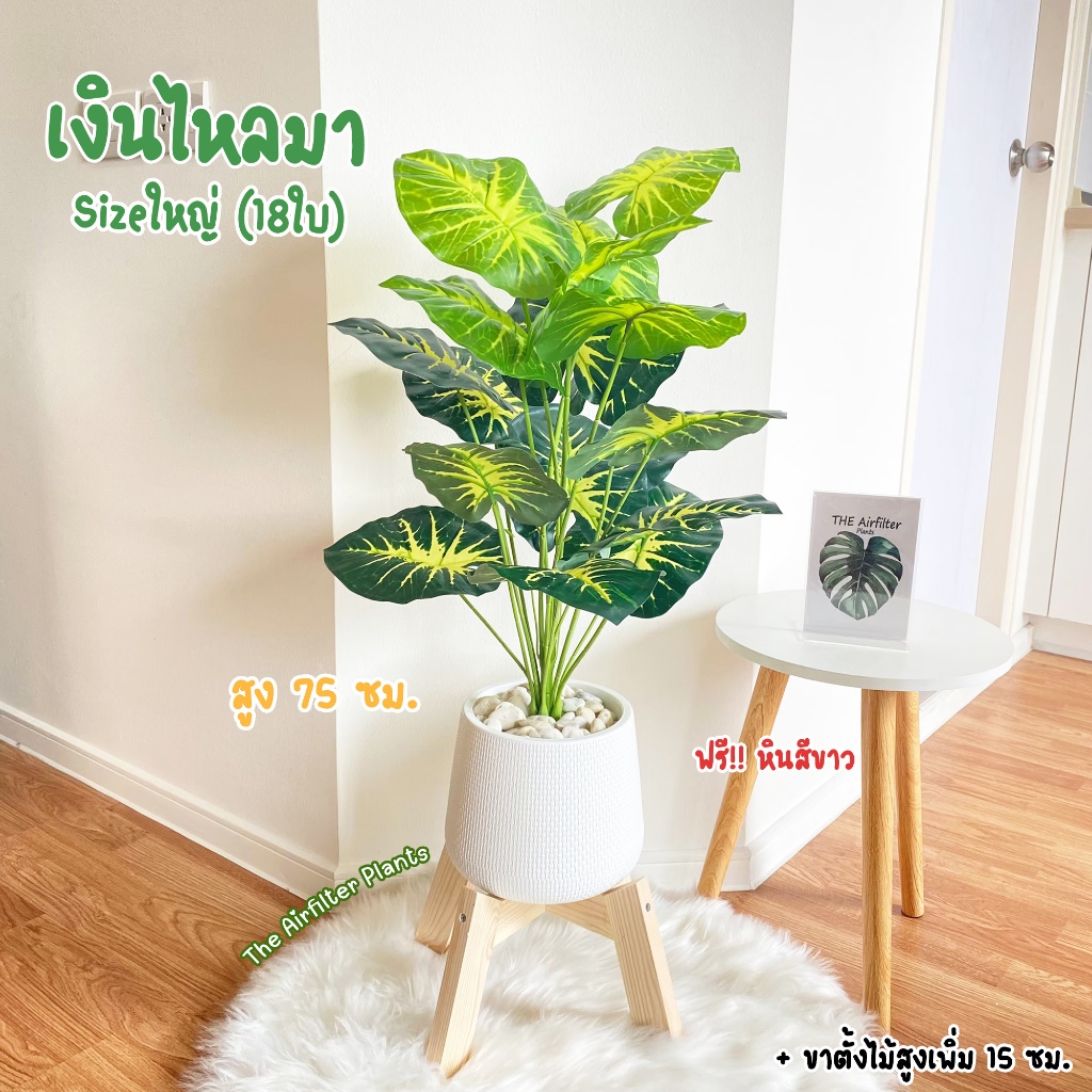 ต้นไม้ปลอมSizeใหญ่ พร้อมกระถางครบเซ็ต(ฟรี!!หินโรย) ต้นเงินไหลมา สูง75-90ซม.ตั้งบริเวณบ้าน ตั้งหน้าทีวี ต้นไม้มงคล