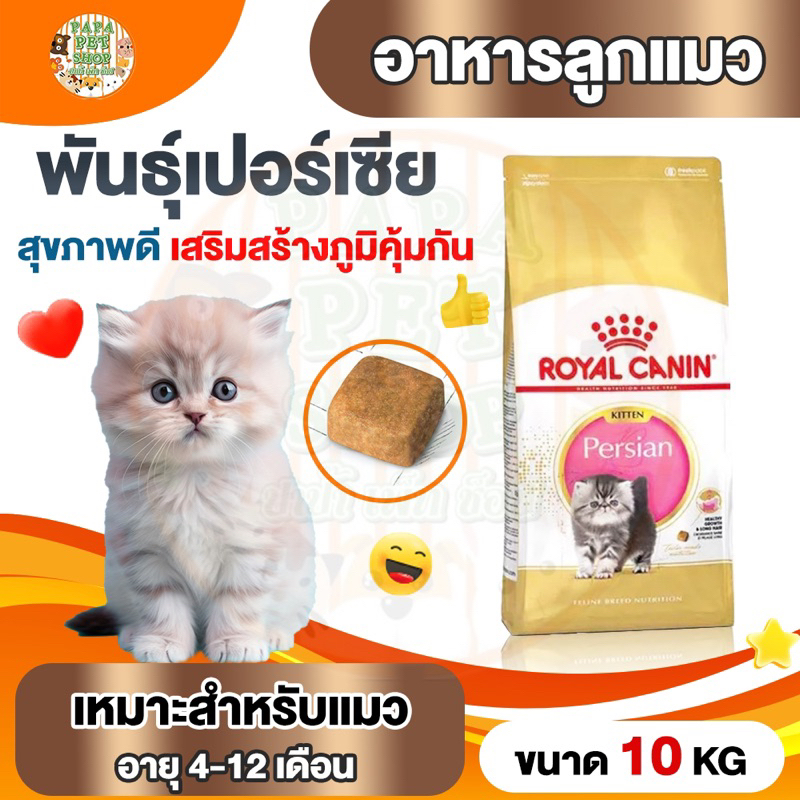 [ลดถูกใจ] Royal Canin อาหารเม็ด KITTEN PERSIAN สำหรับ ลูกแมวเปอร์เซีย 10กก