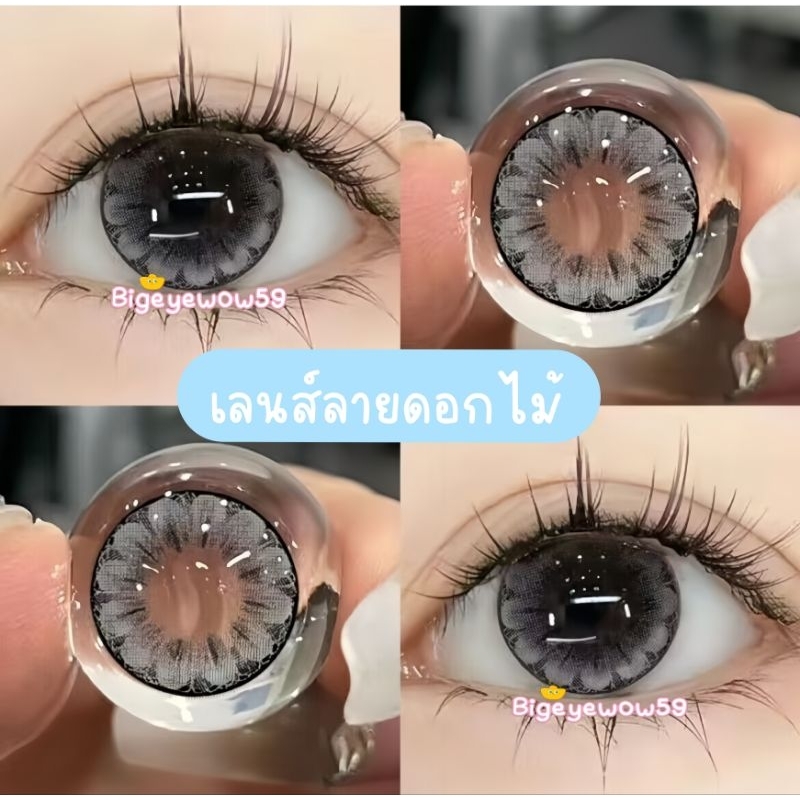 ซื้อ 🌸เลนส์ลายดอกไม้🌸 ลายselena brown/gray มีค่าสายตา ค่าอมน้ำ60% เลนส์กรองแสง ใส่สบาย มีอย.