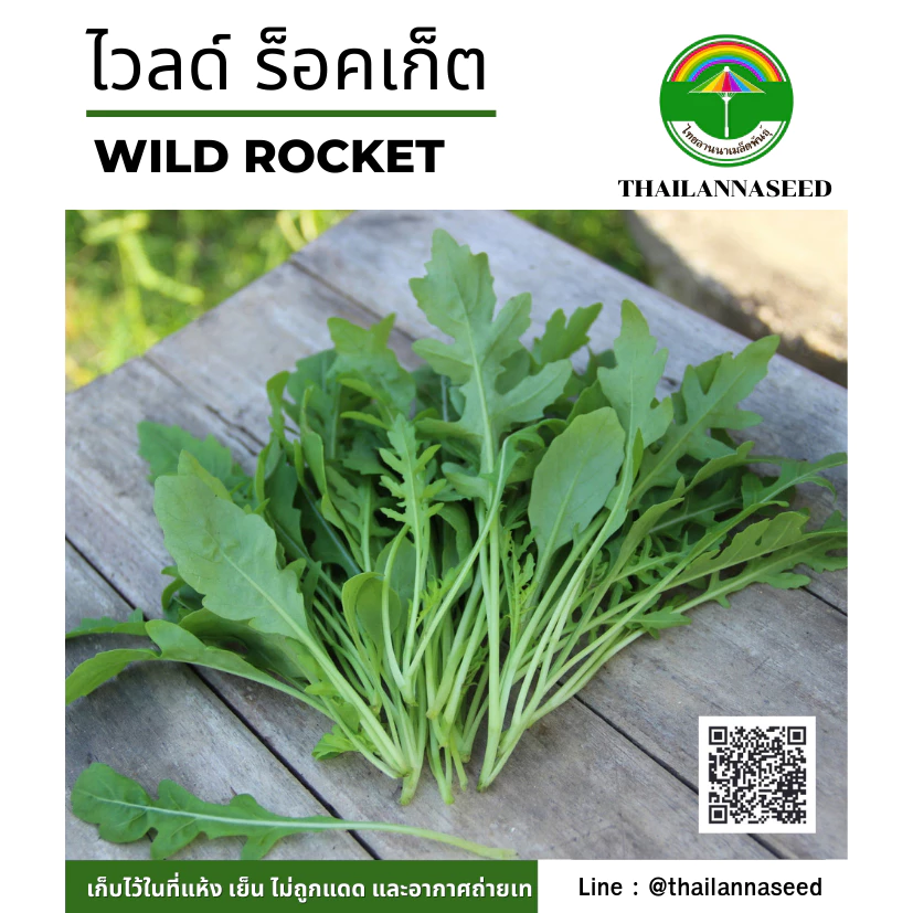 เมล็ดพันธุ์ผักสวนครัว ไวลด์ ร็อคเก็ต ( ขนาด 0.25 กรัม ) รหัสสินค้า 6011