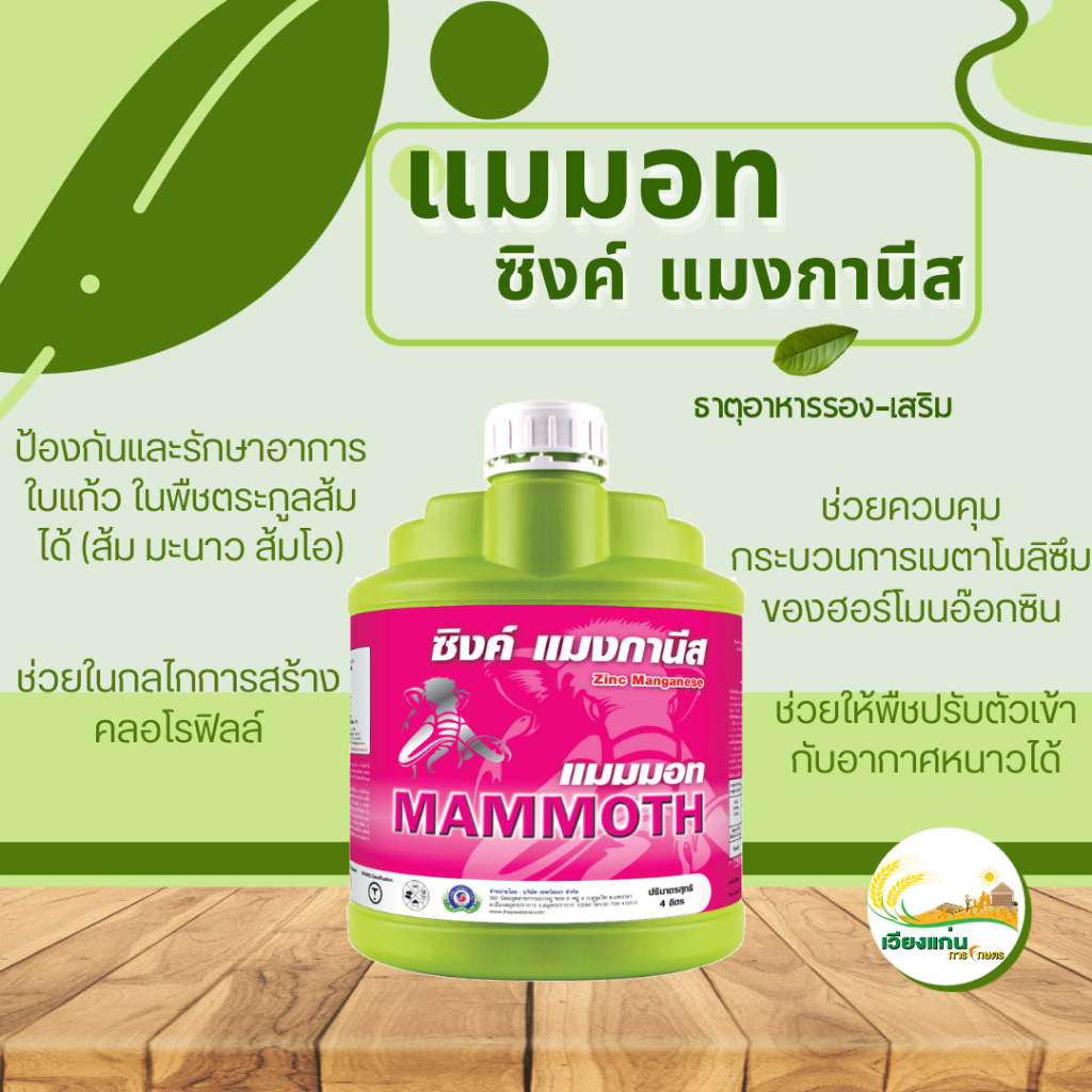 แมมมอท ซิงค์แมงกานีส | 4 ลิตร