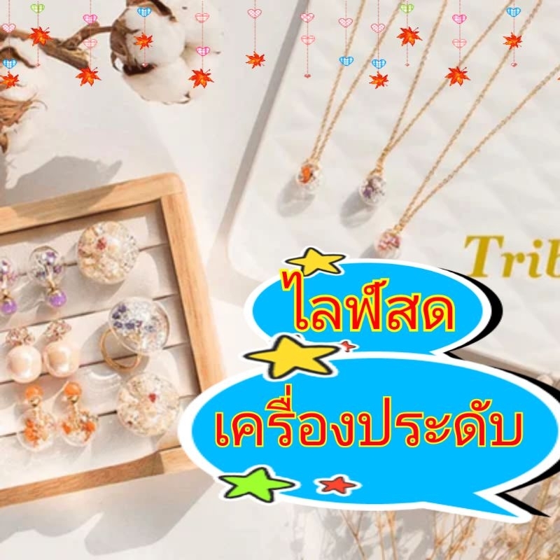 เครื่องประดับ สร้อยคอ แหวน สร้อยข้อมือ