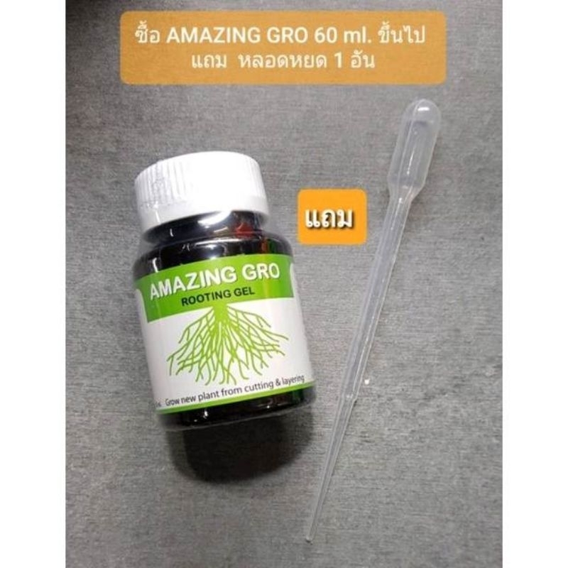 ++แถมพู่กัน1ด้าม++เจลเร่งราก Amazing gro สูตรเข้มข้น