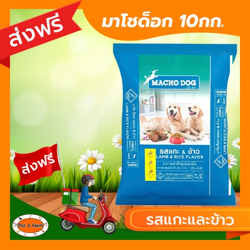 อาหารสุนัขมาโชด็อก MACHO DOG รสแกะและข้าว (ขนาด10 กก.) สำหรับสุนัขโตเต็มวัย [ส่งฟรีไม่ต้องใช้โค้ด!!]