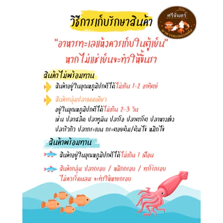 ปลาหมึกเล็กเนื้อหนา A (เค็มกลาง)