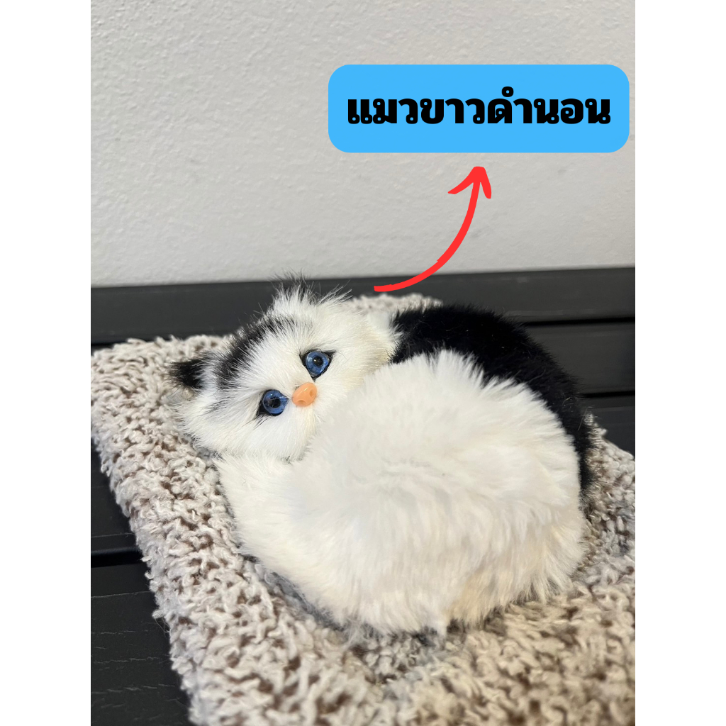 ตุ๊กตาดับกลิ่น น้องแมวนอน รุ่นมีเสียง มีหลายแบบให้เลือก ดับกลิ่นในรถ ดูดกลิ่น ตุ๊กตาแมว - รูปที่ 4