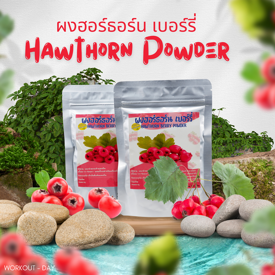 ผงฮอร์ธอร์นเบอร์รี่ หรือ ซาจาง/เซียงจา ขนาด100กรัม