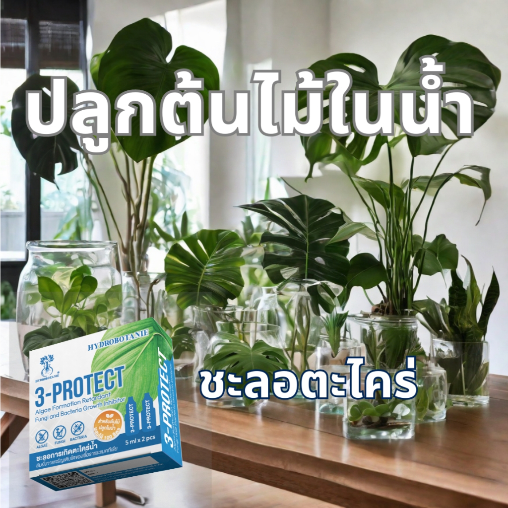 ALG-PROTECT (ชื่อเดิม 3-PROTECT) ชะลอการเกิดตะไคร่น้ำ สำหรับปลูกไม้ประดับในนํ้า