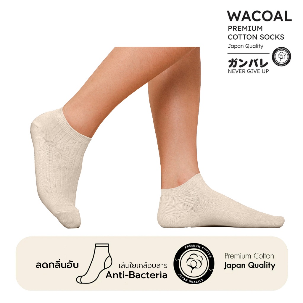 ถุงเท้าข้้อสั้น Cotton Socks Anti-bacteria Selected by Wacoal รุ่น WW1106 เซท 3 คู่