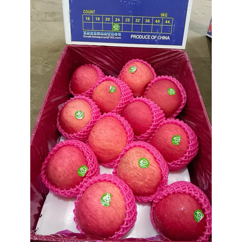 แอปเปิ้ลฟูจิหวาน​กรอบ​ อร่อย แอปเปิ้ลฟูจิเกรดพรีเมียม